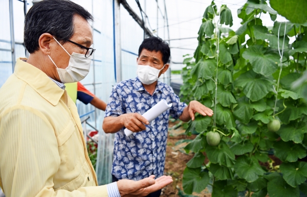 침수 피해 멜론 농가 현장 방문 사진1            * aT 이병호 사장(좌측), 세지멜론연합회 박화순 회장(우측)