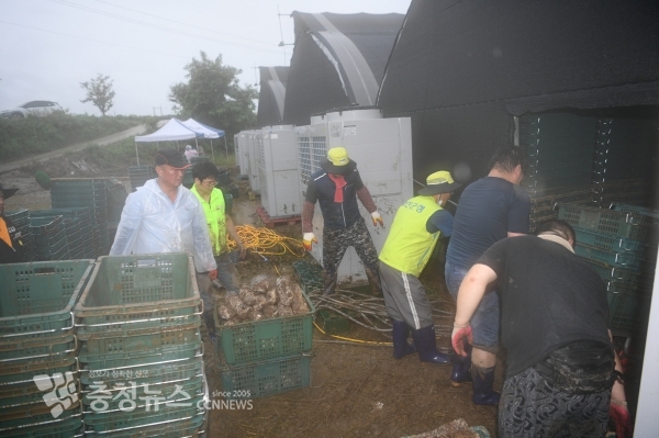 수해복구 현장 모습