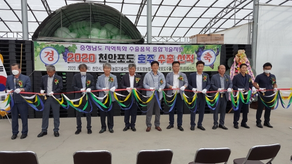 13일 성거읍 천안포도수출전문유통센터에서 천안 포도 호주 수출 선적식이 열려 참석자들이 테이프 커팅을 하고 있다