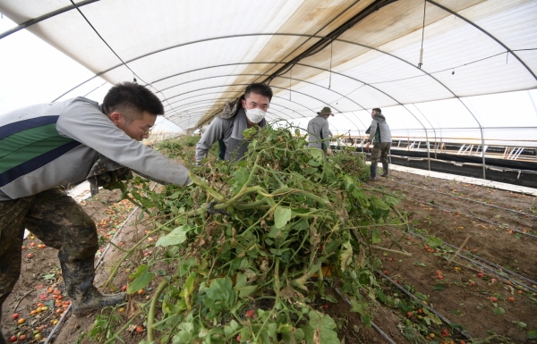 관내 호우피해 농가 지원