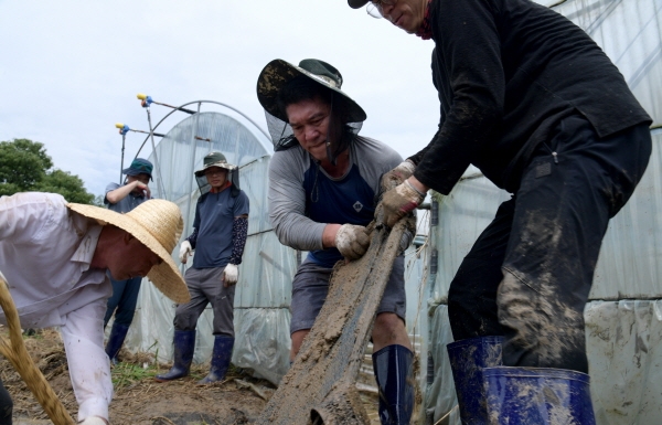금산 호우피해 농가 지원  모습