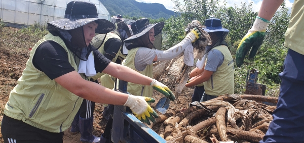 영동군 침수주택 토사제거, 폐기물 수거 등 피해 복구 지원 모습