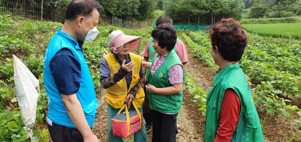 대호지면 각 가정에 삼계탕을 전달 모습