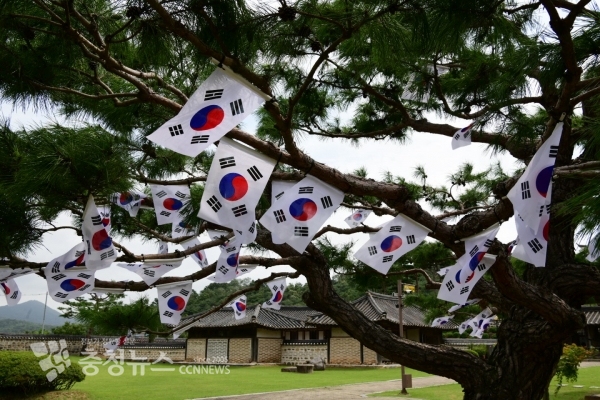 김좌진장군 생가지 태극기트리