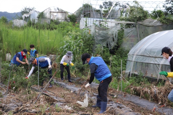 천안시청공무원노조(인사혁신처 등과 합동 수해복구 봉사활동 모습)