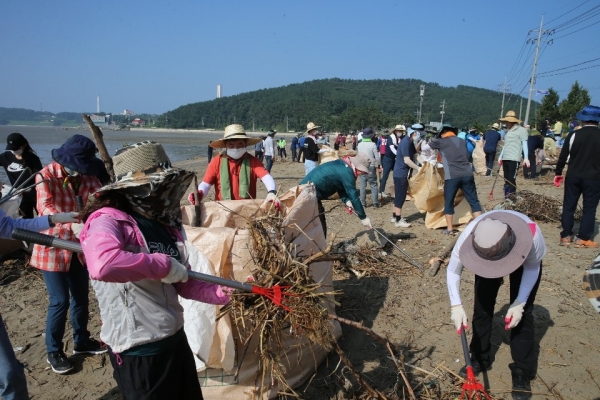 19일 서면 도둔리 및 비인 다사리 해안에서 사회단체와 공직자, 공공기관 임직원 등 총 696여 명이 참여한 가운데 해양쓰레기 수거 정화활동을 펼쳤다.