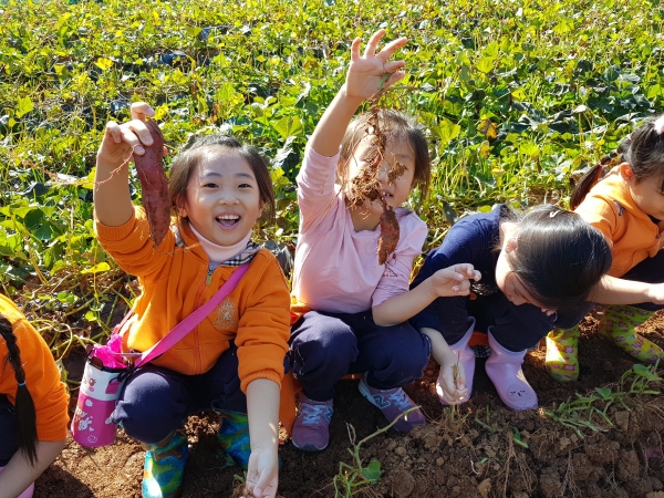 지난 하반기 진행된 어린이농촌체험교실에서 어린이들이 체험활동을 하고 있다.