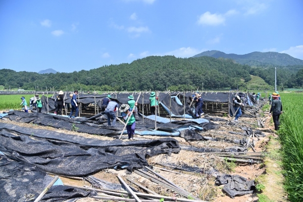 금산군 제원면과 부리면 일원의 피해주민들을 돕기 위해 두 팔을 걷어 붙였다.
