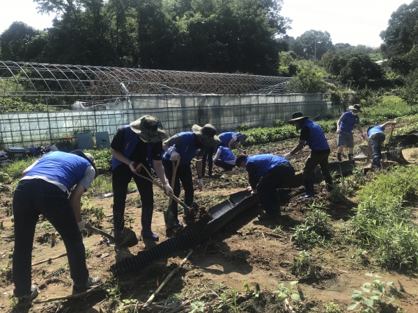 20일 보훈청 직원들이 장마로 피해를 입은 대전지역 보훈가족을 돕기 위해 나섰다
