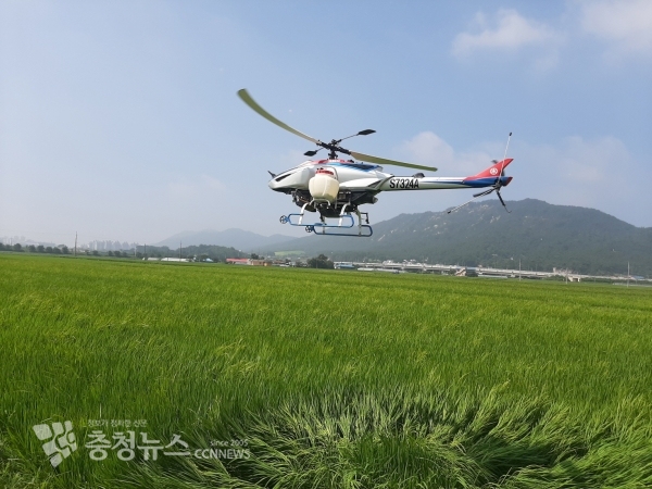 삽교읍 용동리에서 실시된 항공방제