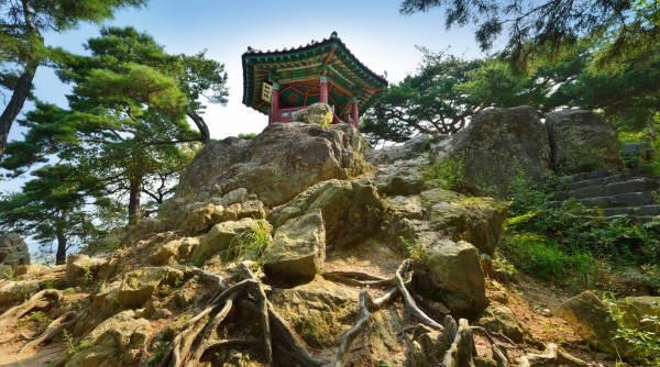 부소산성의 여름 -낙화암 백화정