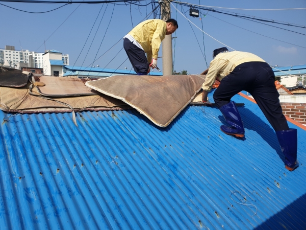 장항읍, 태풍 대비 취약계층 주거환경 정비 모습
