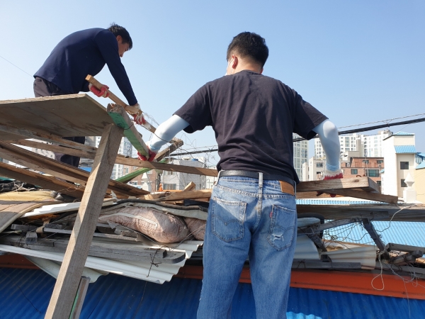 장항읍, 태풍 대비 취약계층 주거환경 정비 모습