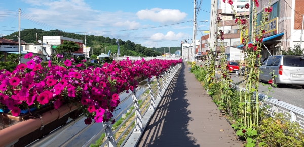 민선7기 2년 동안 관내 농업발전을 위한 다양한 사업들 추진