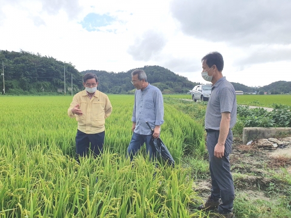 지난 27일 장항원수농공단지에서 발생한 화재로 벼 잎 마름 현상 피해지 현장방문 모습