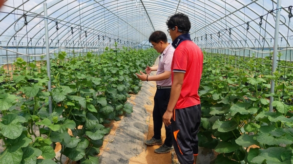 학교급식지원센터에서 멜론 농가 시비관리 교육 실시