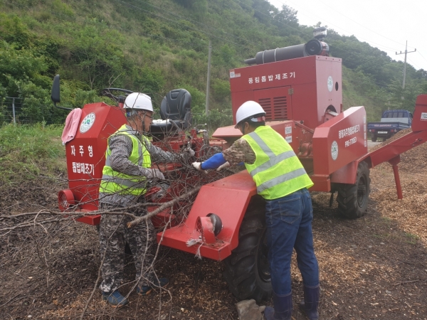 군내 가로수 가지치기 과정에서 나온 부산물로 우드칩 만들어 녹색자원으로 활용