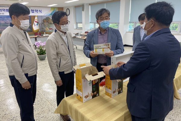 부석농협 농특산품(서산6쪽마늘) 살펴보는 장면