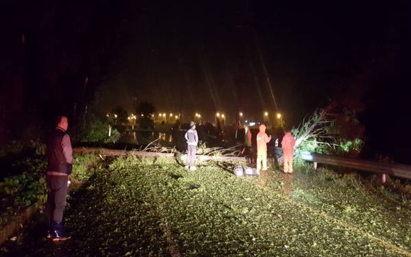 태풍 ‘마이삭’ 피해 복구 총력 (마서면 덕암리 나무 도복 현장)