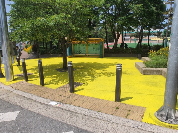 성남초등학교 앞 옐로카펫 설치 모습