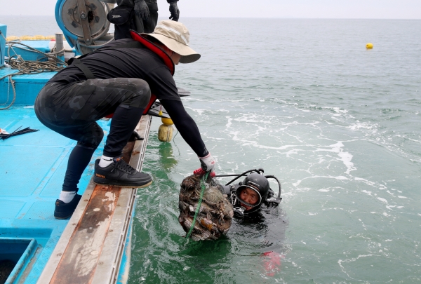 근흥면 꽃게 자연산란장 조성사업 모습.