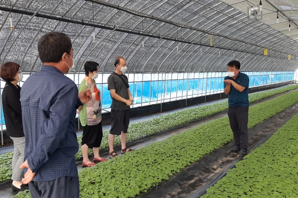 10일 선도 농업인 깻잎 영농 현장에서 교육하는 장면