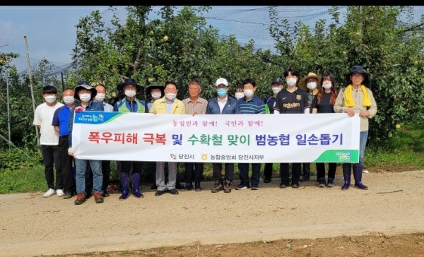 생활 속 거리두기 실천하며 태풍으로 낙과 사과 줍기 봉사활동 실시