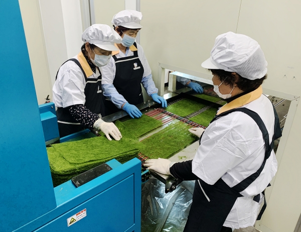 노인일자리사업 참여 모습