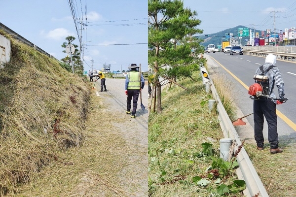도로변 제초작업 모습