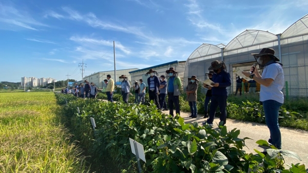 벼농사 평가회 개최