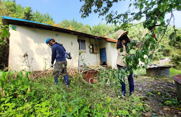 원북면지역사회보장협의체 ‘추석맞이 집주변 제초 및 해충방지’ 모습.