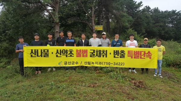 임산물 불법 채취 금지 현수막 설치 모습