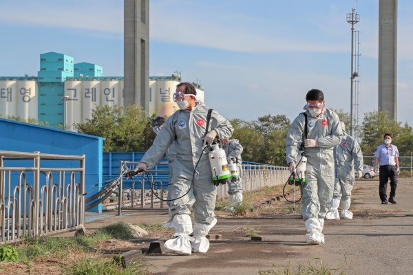 서부두 방역활동 모습