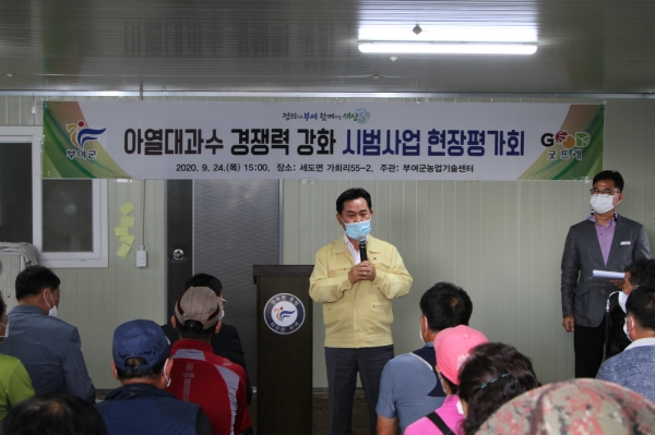 지난 24일 세도면 애플망고 현장평가회 개최 모습