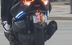 오토바이 번호판 고의 가림 모습.