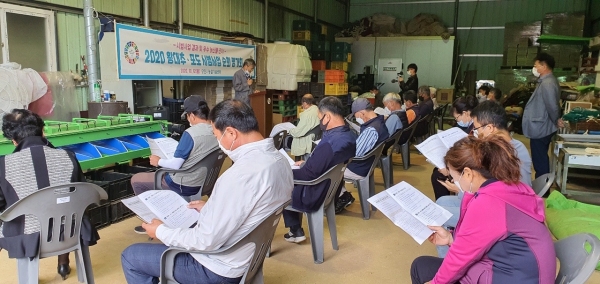 지난 12일 개최한 ‘2020 왕대추·포도 시범사업 순회 평가회’ 사진