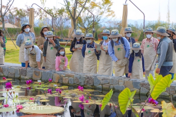 국립세종수목원 수생식물 설명