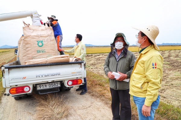 김홍장 시장 농업현장방문 및 벼베기 시연 모습