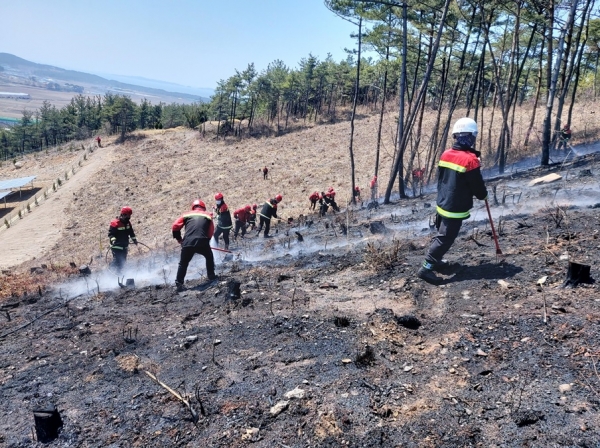 서천군, ‘산불방지 대책본부’ 조기 운영