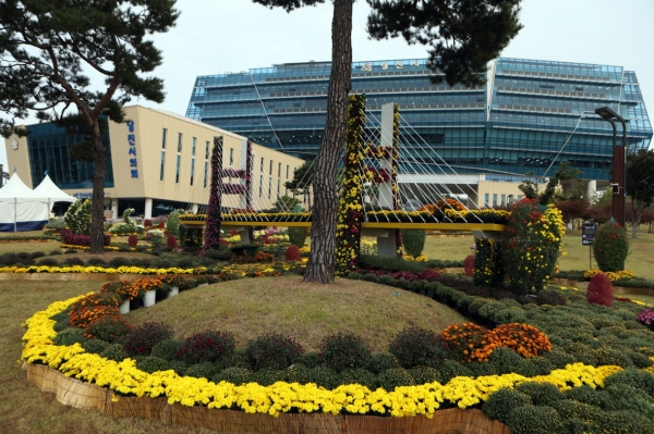 당진시청 주변 국화전시회 준비 모습