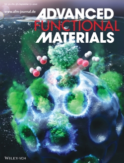 Advanced Functional Materials 표지.