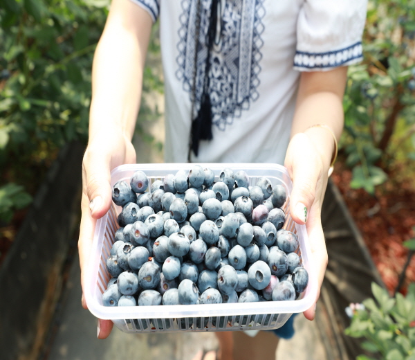 또 하나의 공정여행 ‘한 박자 쉬고 청양’ 프로그램 진행 모습