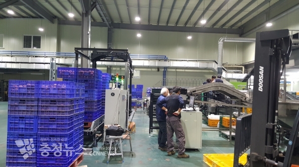 예산농산물유통센터의 새로 교체된 선별시설 모습