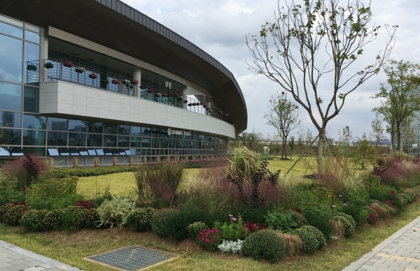 국립세종수목원  방문자센터 앞 위탁재배 식물(국화) 식재 모습.