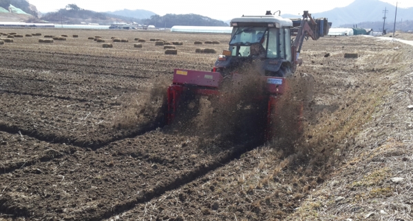 가축사료용 월동작물 적기파종 당부-파종 후 복토작업 모습