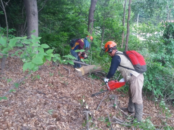 산림 관련 11개 분야에 약 20억 원을 투입해 총 196명 고용