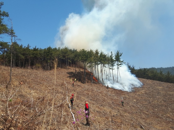 산림 관련 11개 분야에 약 20억 원을 투입해 총 196명 고용