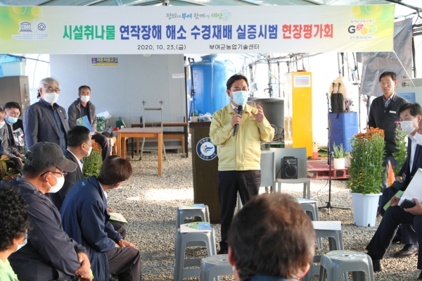 부여군 취나물 수경재배 시범사업 평가회 모습