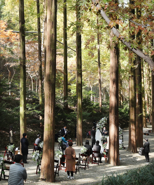 지난달 30일 장태산 자연휴양림 메타세콰이어 숲에서 제2호 커플 탄생 모습