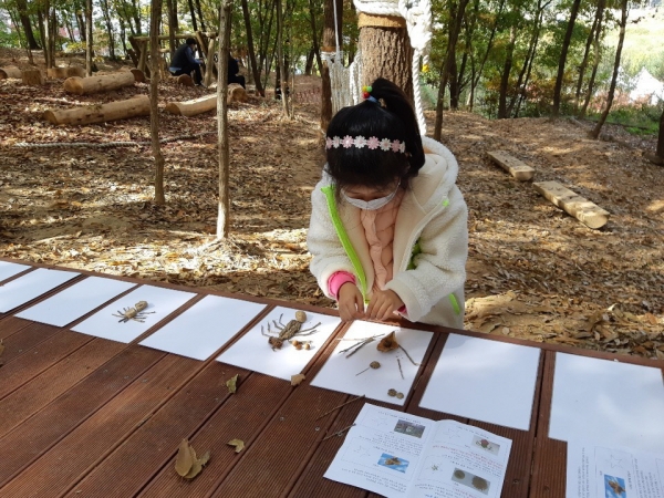 ‘제6회 숲체험의 날’ 사진